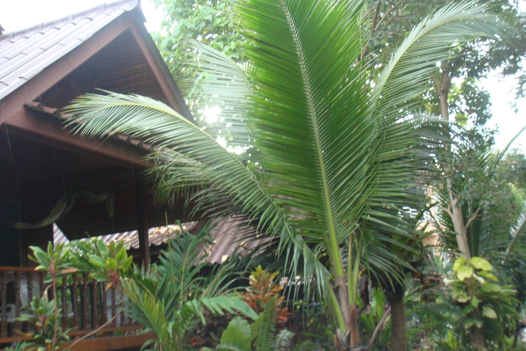 Silver Sands Resort - Ko Tao Luaran gambar